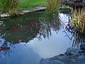 2007-1121_1220_Pond_11,7_C